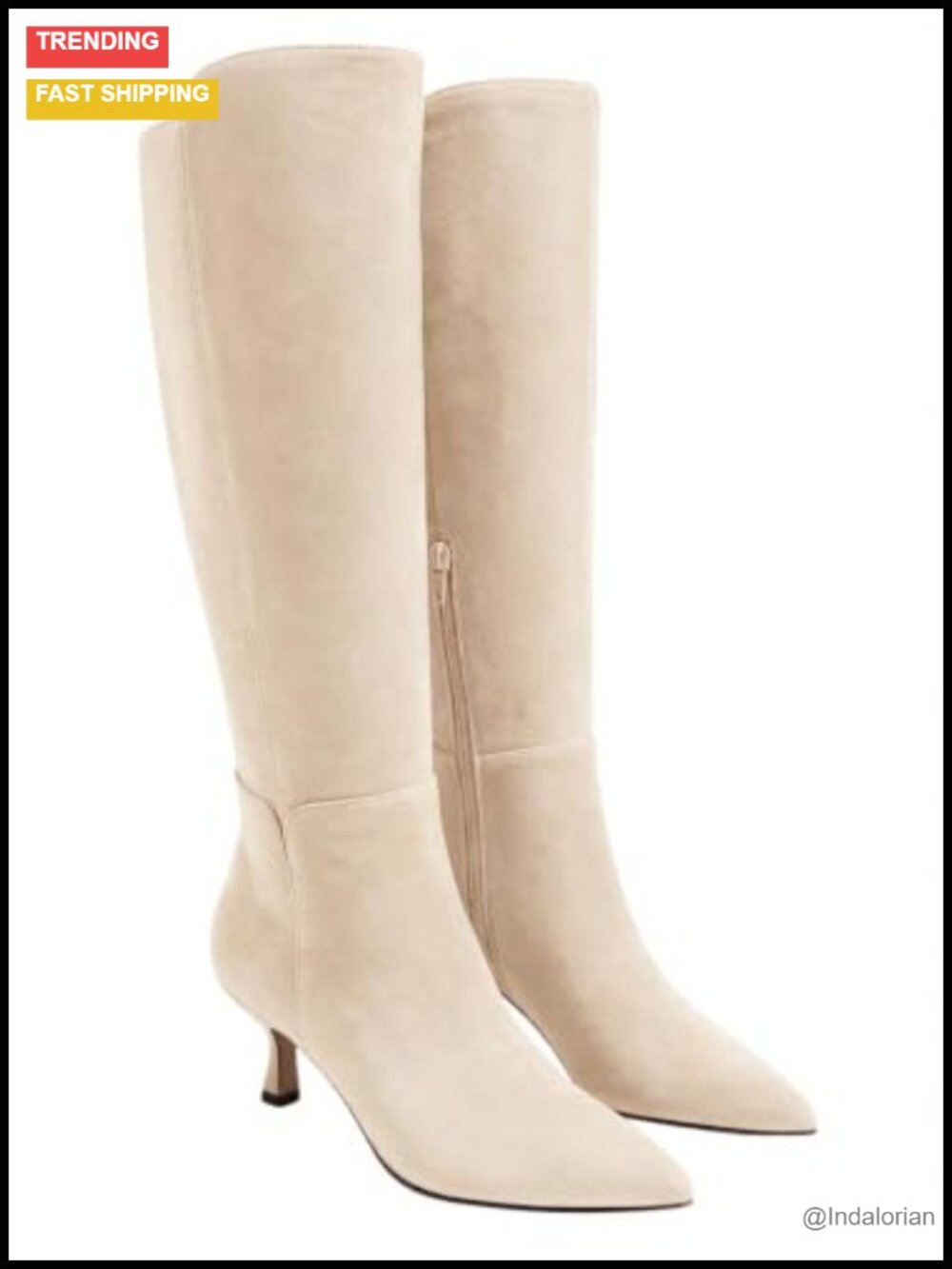 Kitten Heel Pointed Toe Knee High Dress Boots Side Zip Tall Boots